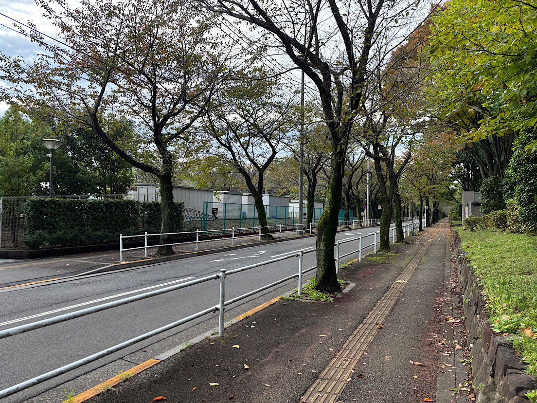 �ČR�Ւn ���̂Q