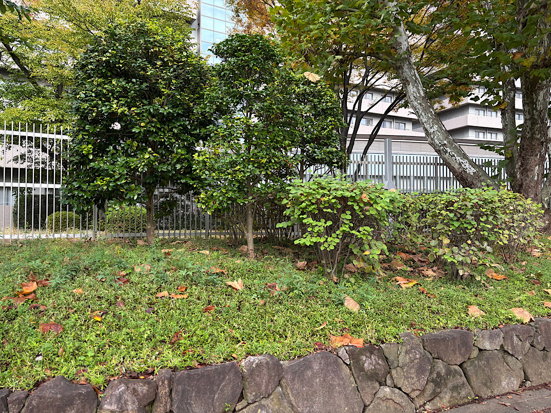 �ČR�Ւn ���̂Q