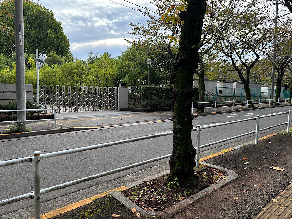 �ČR�Ւn ���̂Q