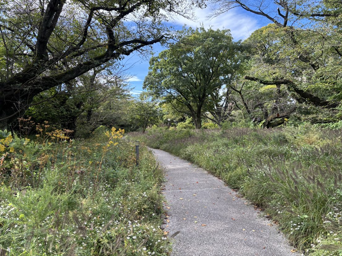 �ČR�Ւn ���̂Q