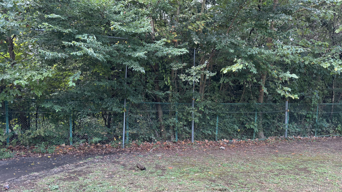 �ČR�Ւn ���̂R