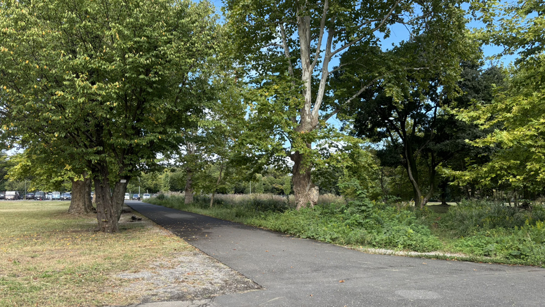 �ČR�Ւn ���̂R