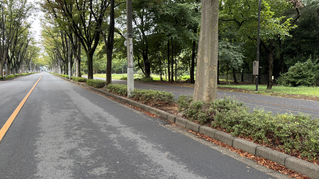 �ČR�Ւn ���̂R