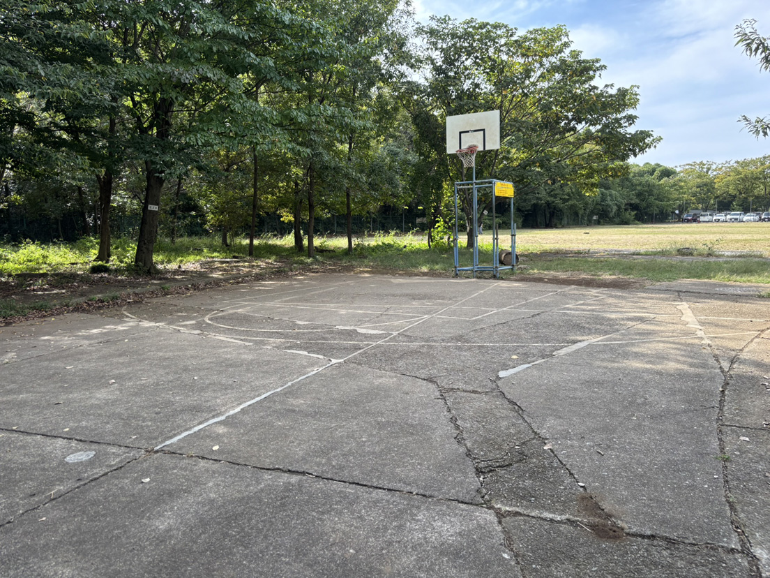 �ČR�Ւn ���̂R