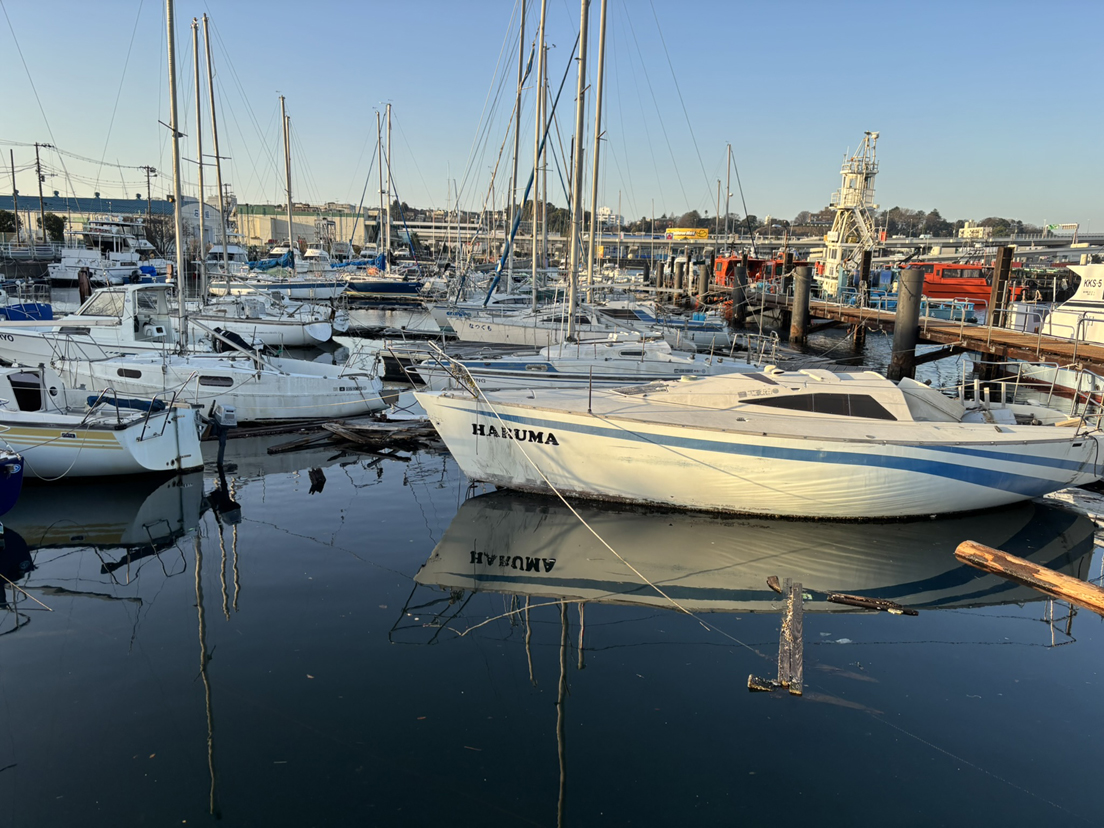 �R�����̃��b�g�n�[�o�[