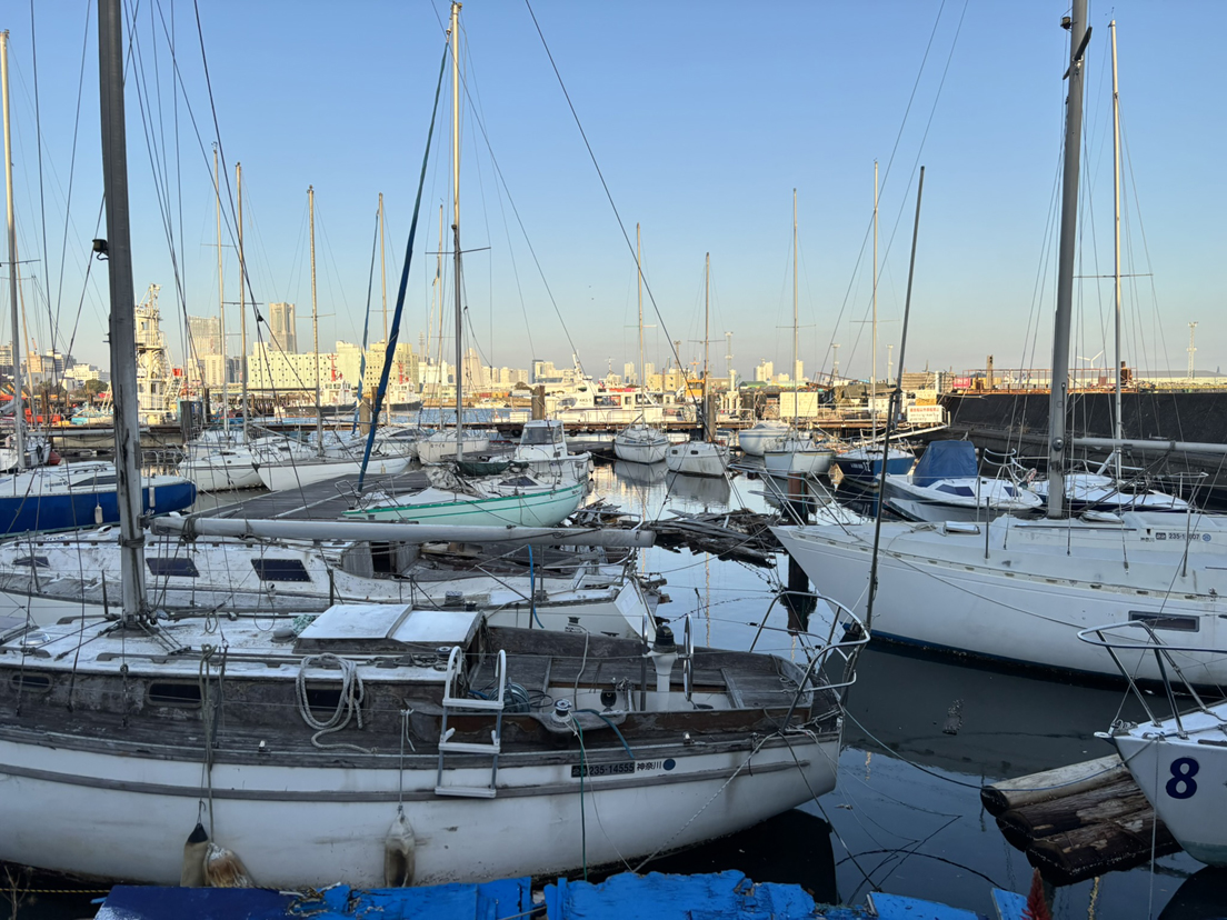 �R�����̃��b�g�n�[�o�[