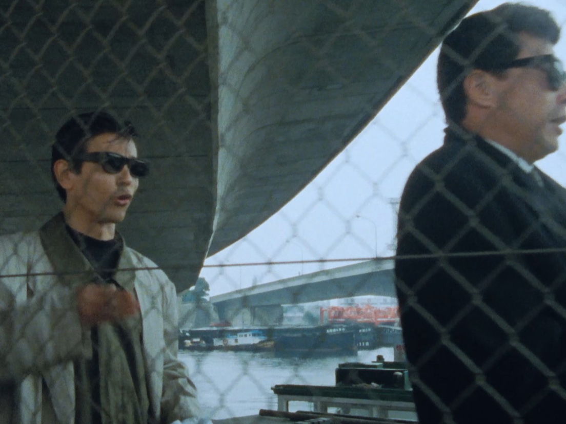 �V�R���^��