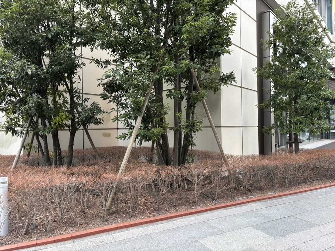 �`������