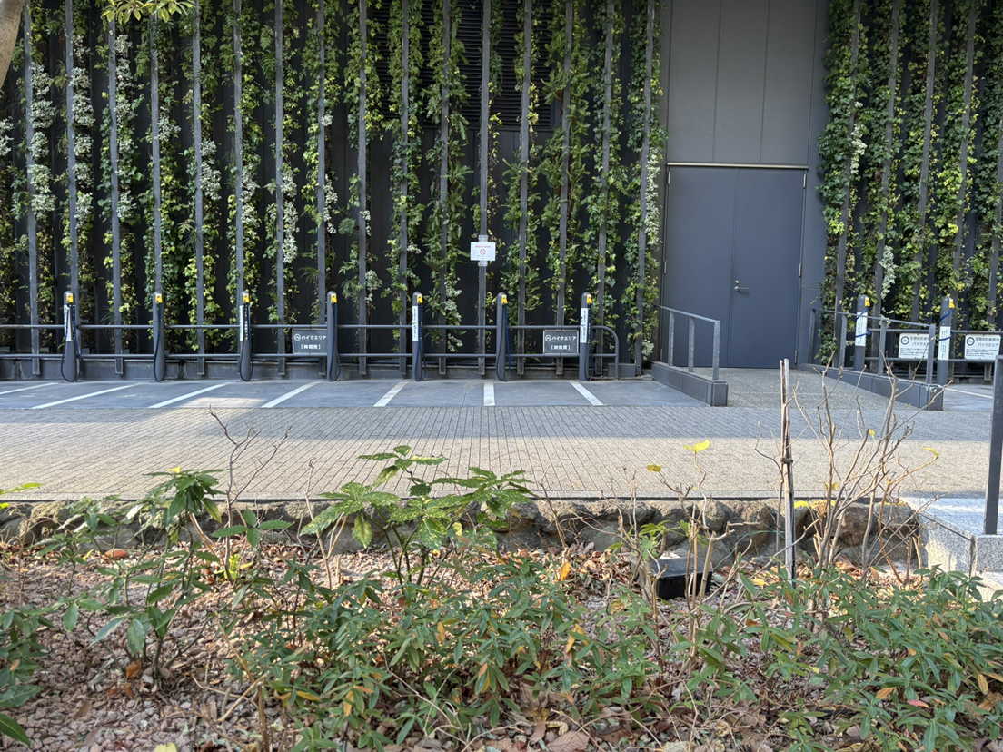 �V�`�ӓ� 13�ԑq��