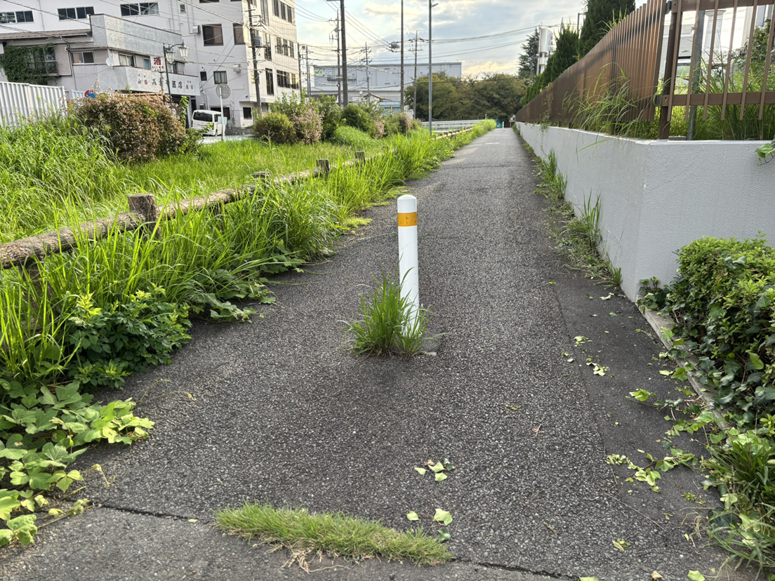 ������Ѓn�}�C���t�H���[�V����