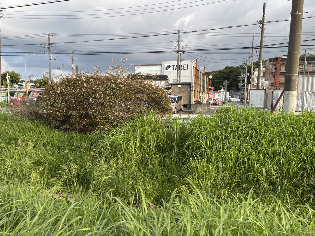 ������Ѓn�}�C���t�H���[�V����