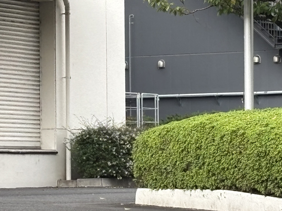 ������Ѓn�}�C���t�H���[�V����