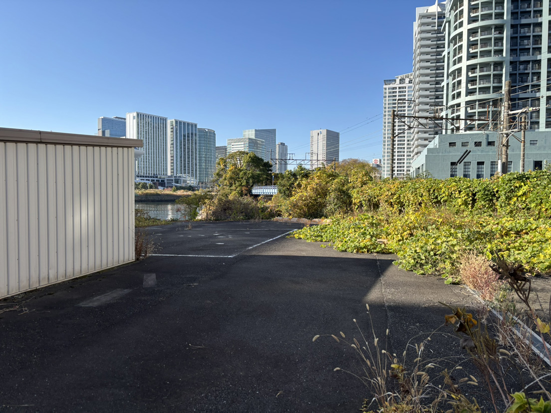 ���l�^��