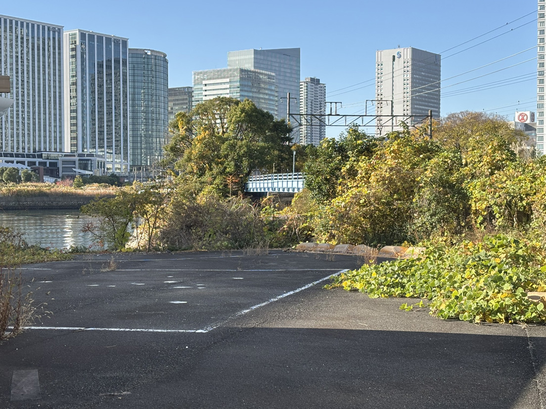 ���l�^��