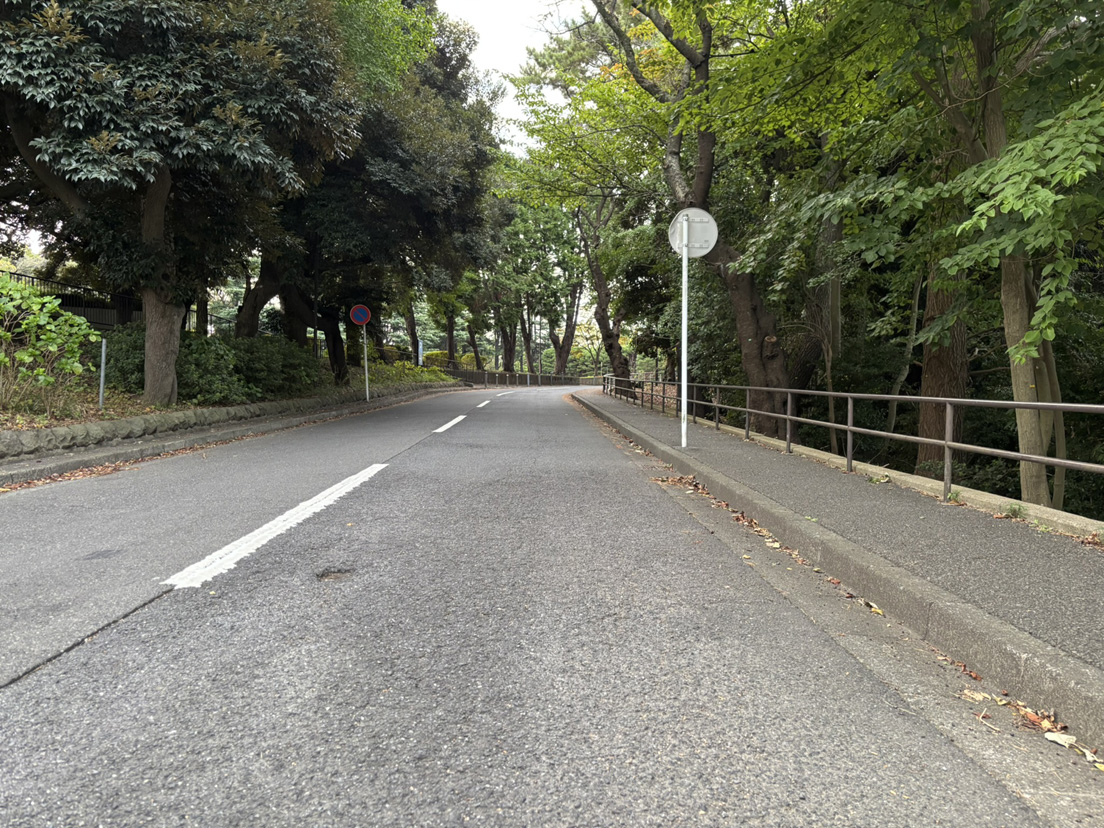 �d�b�{�b�N�X