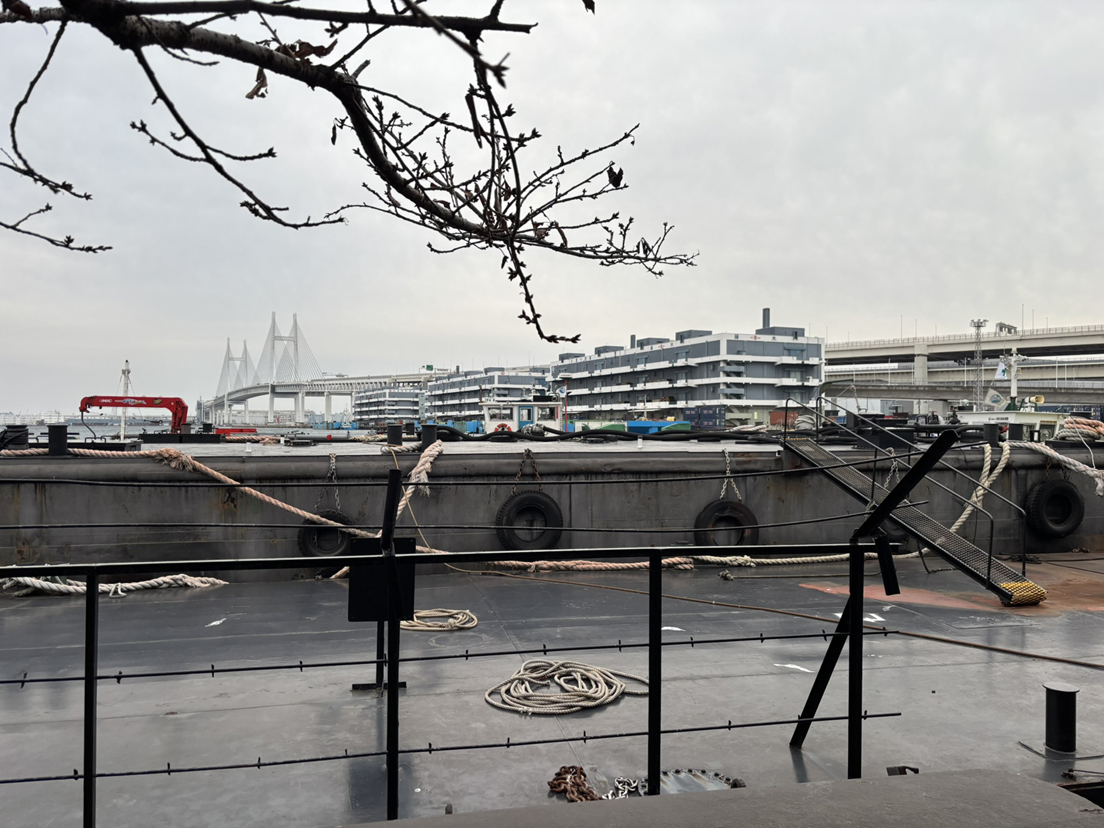 ���b�g�n�[�o�[