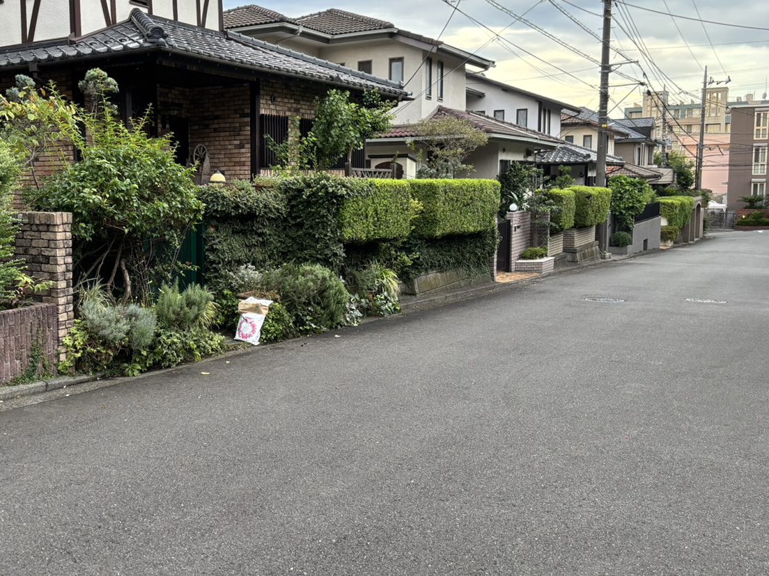 �R�������̉�