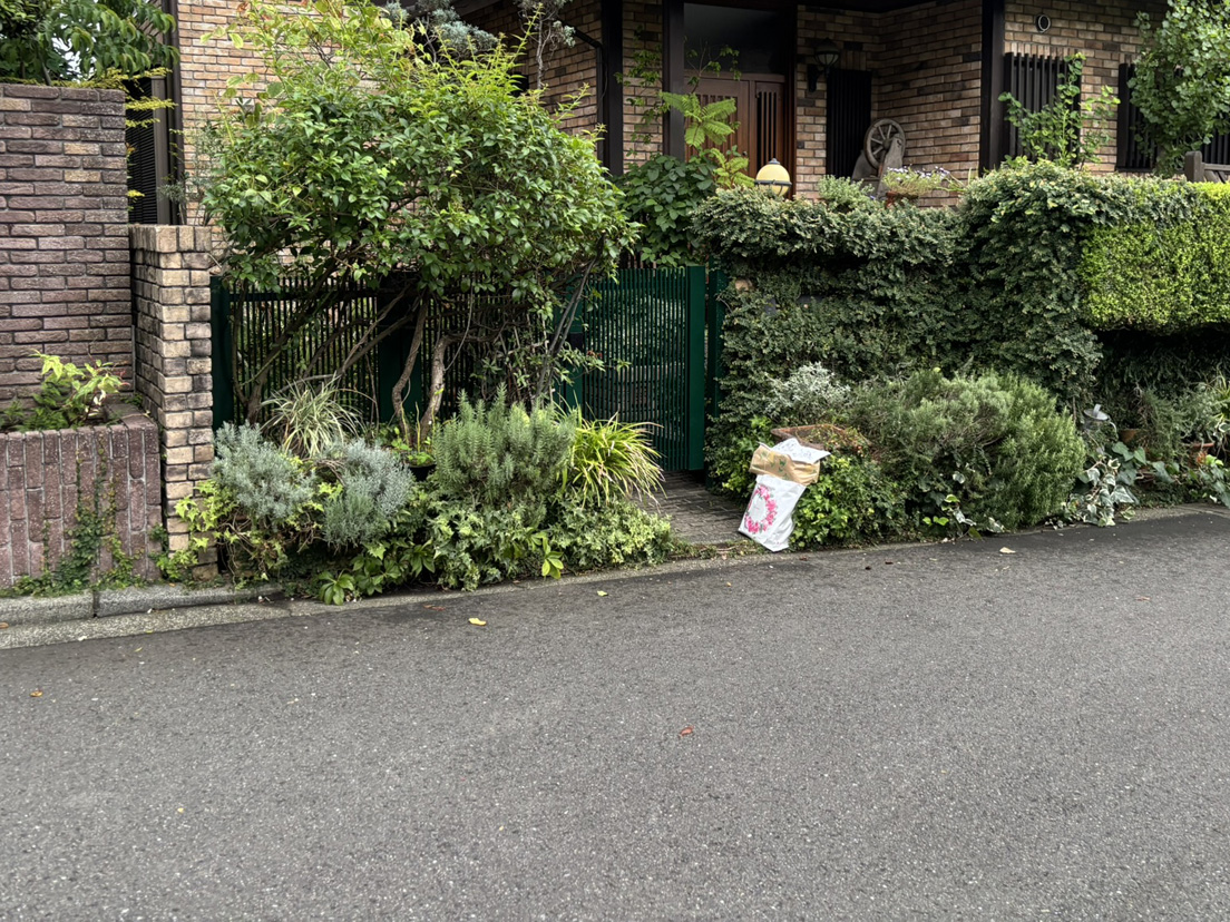 �R�������̉�