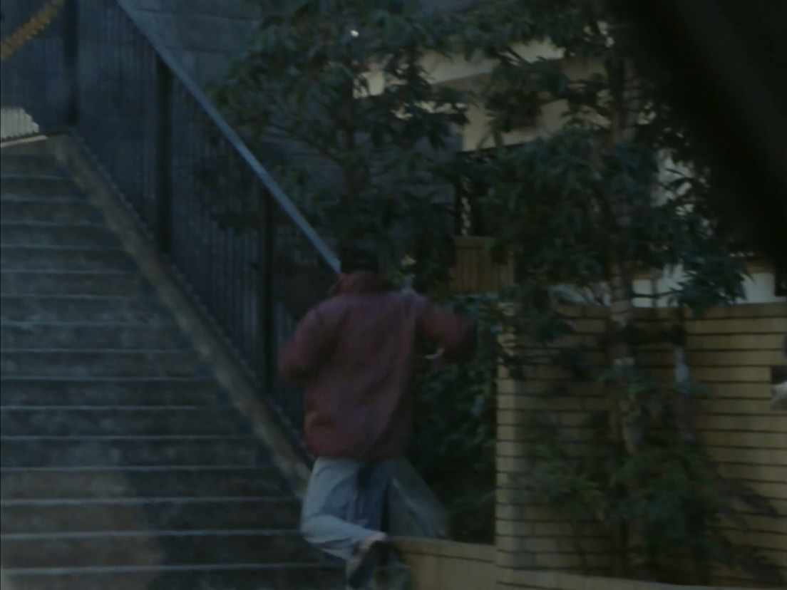 �R�������̉�