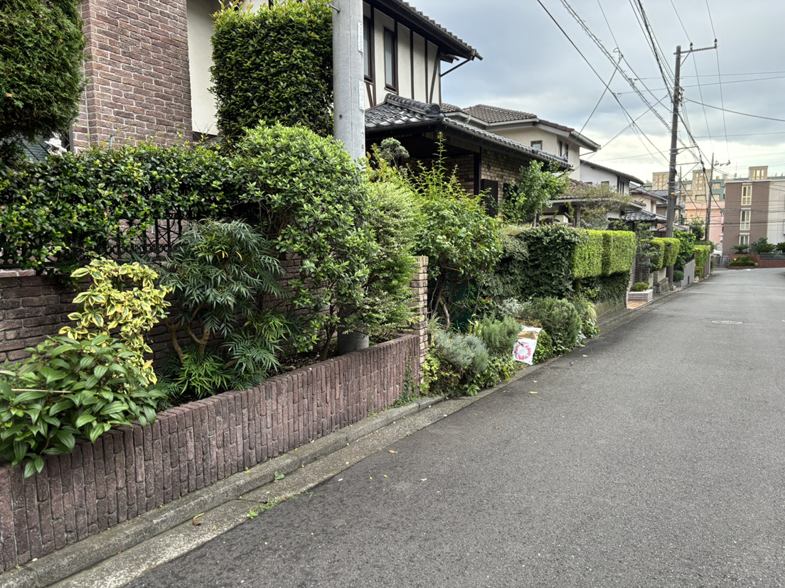 �R�������̉�