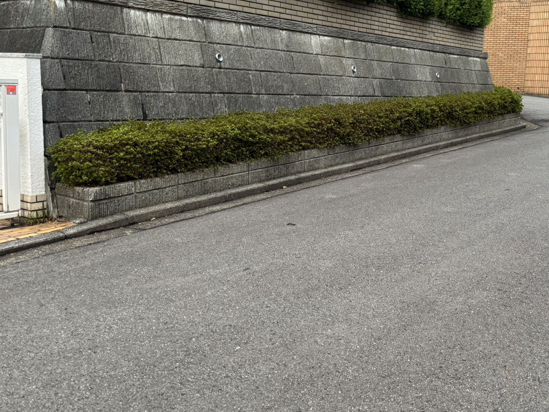 �R�������̉�