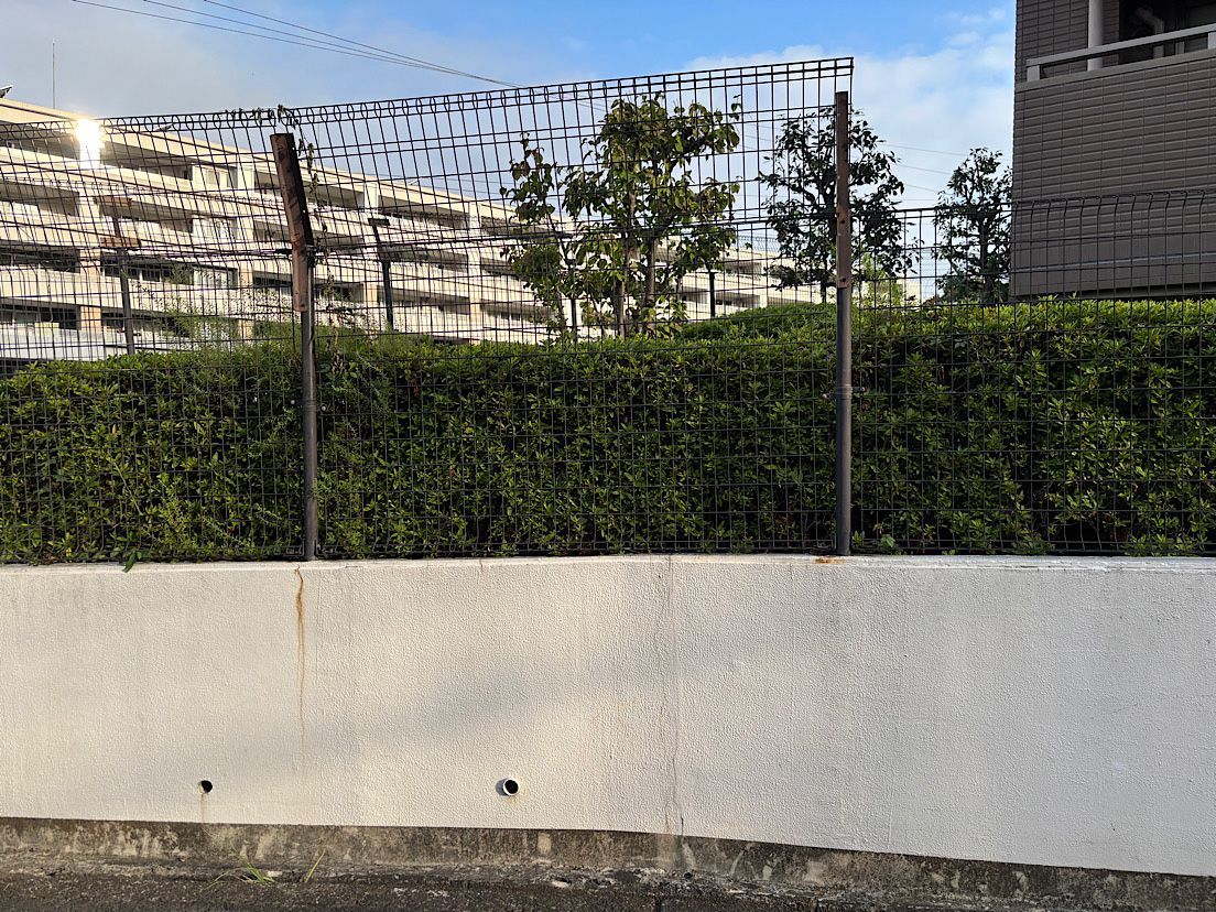 �R��p�[�N�}���V����