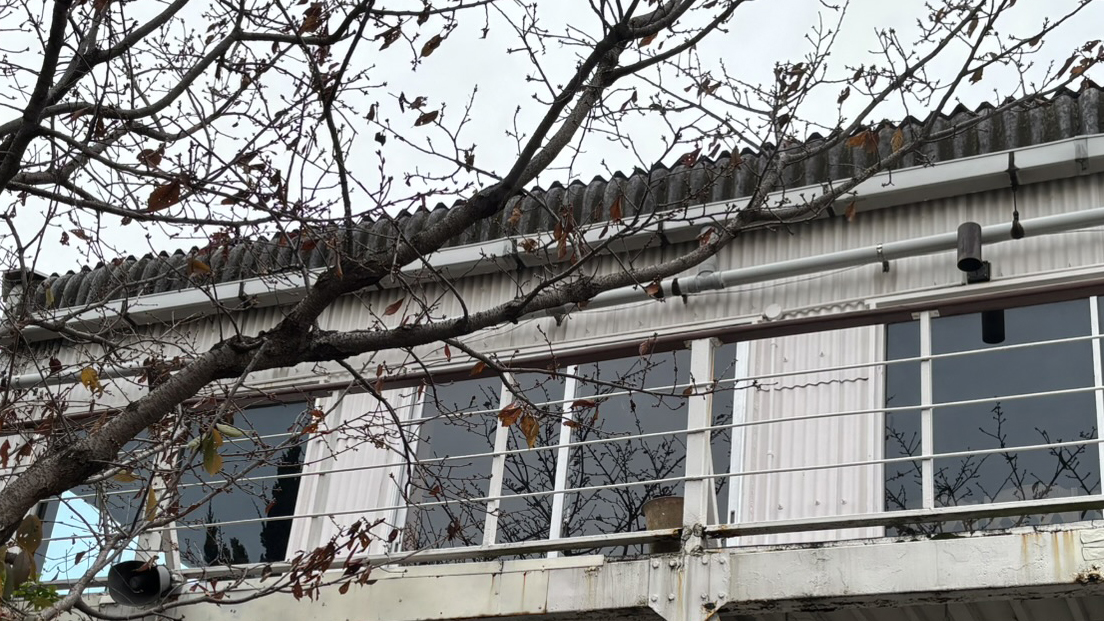 ���X�g����