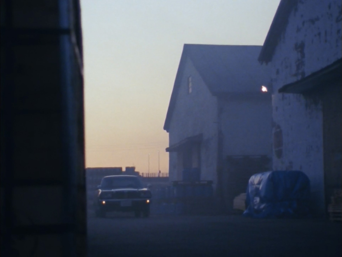 ���݂̑q��