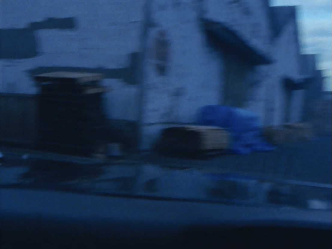 ���݂̑q��