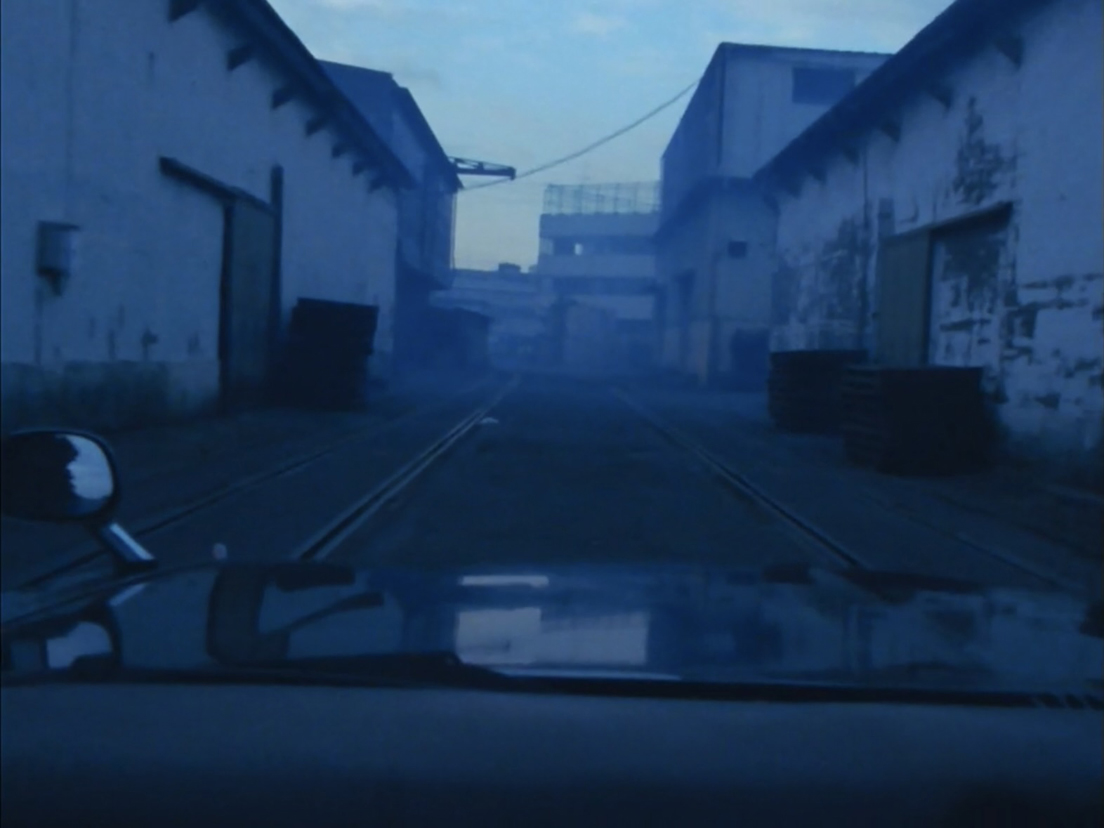 ���݂̑q��