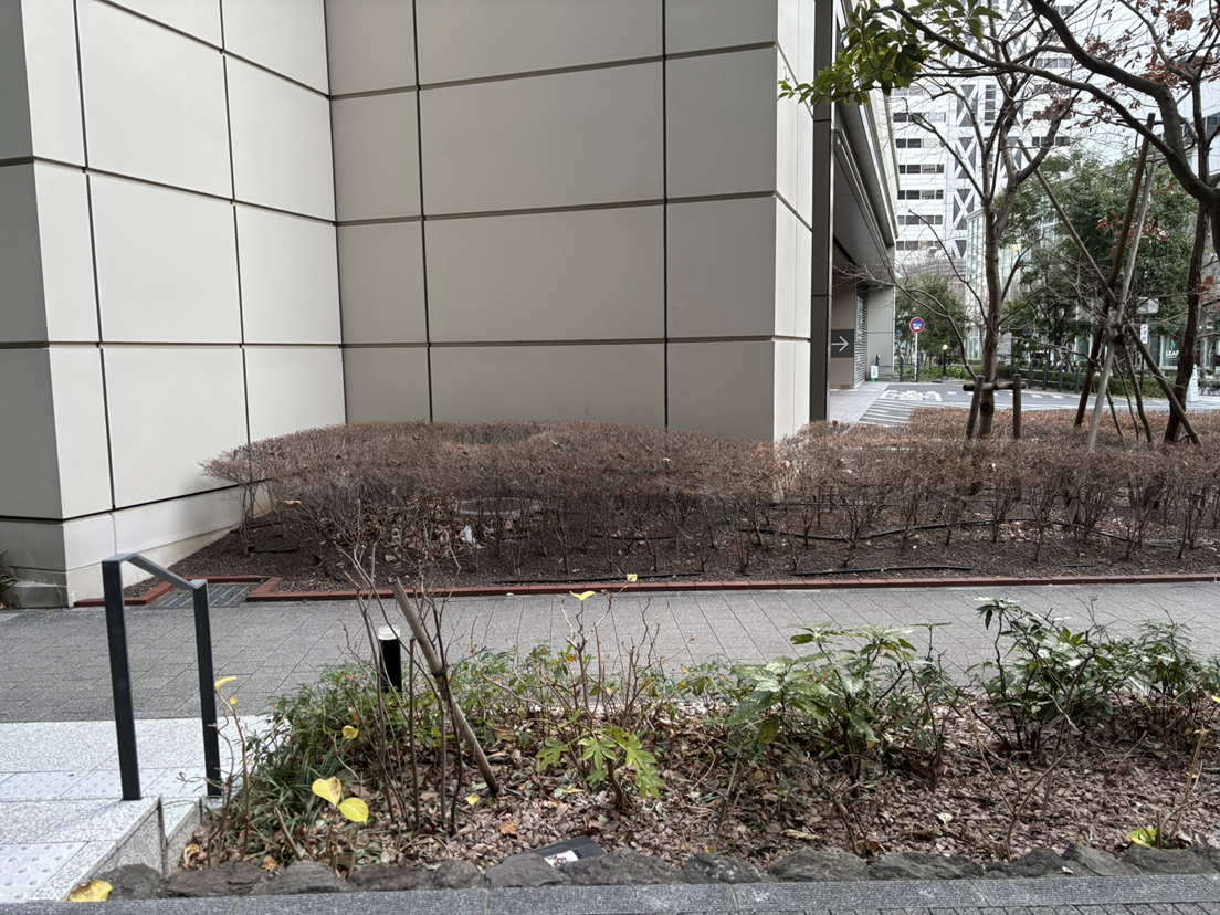 ���݂̑q��