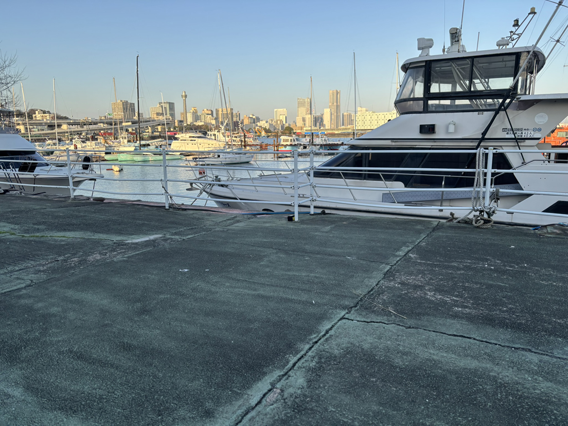 �^���R�~���̃��T