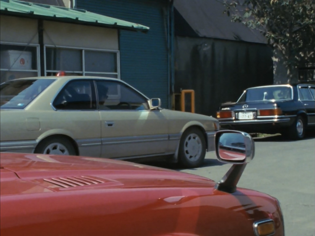 ���̏o�q��